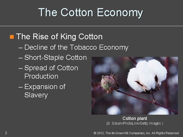 The Cotton Economy n The Rise of King Cotton – Decline of the Tobacco