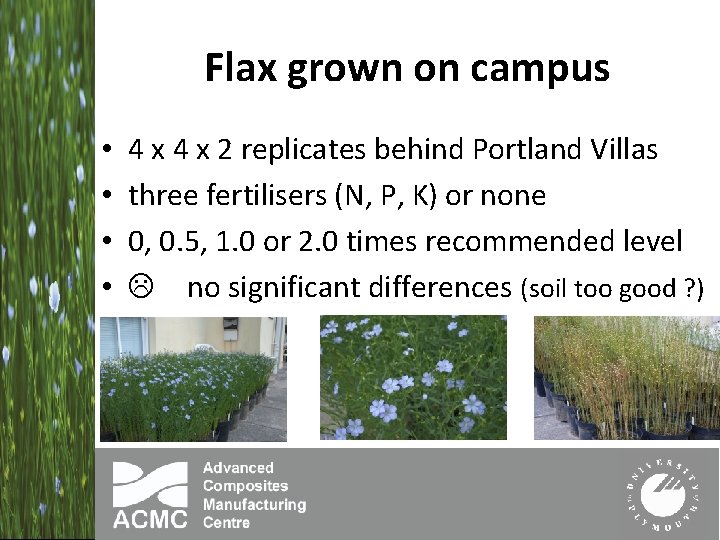 Flax grown on campus • • 4 x 2 replicates behind Portland Villas three