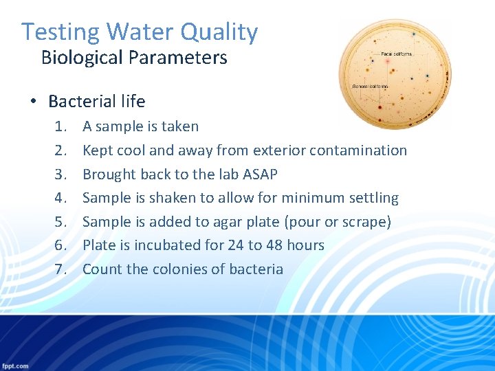 Testing Water Quality Biological Parameters • Bacterial life 1. 2. 3. 4. 5. 6.