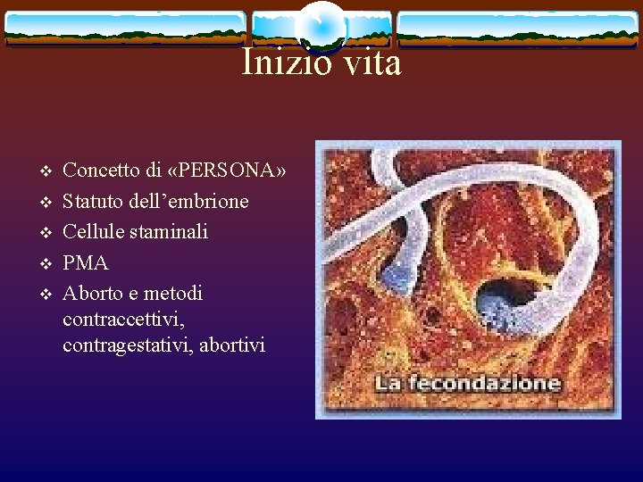 Inizio vita v v v Concetto di «PERSONA» Statuto dell’embrione Cellule staminali PMA Aborto