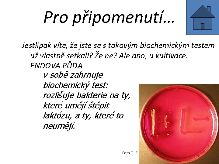 Pro připomenutí… Jestlipak víte, že jste se s takovým biochemickým testem už vlastně setkali?