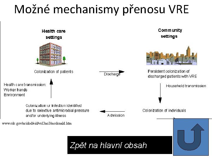 Možné mechanismy přenosu VRE www. cdc. gov/ncidod/eid/vol 3 no 3/mcdonald. htm Zpět na hlavní