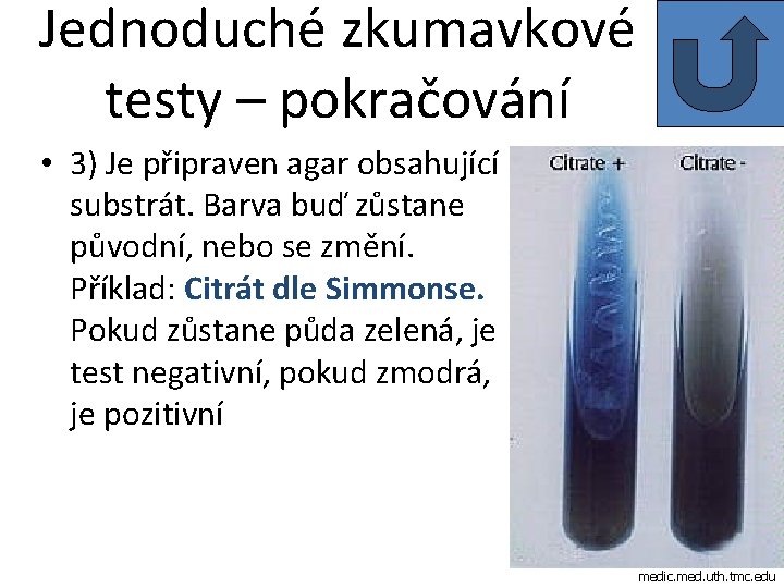 Jednoduché zkumavkové testy – pokračování • 3) Je připraven agar obsahující substrát. Barva buď