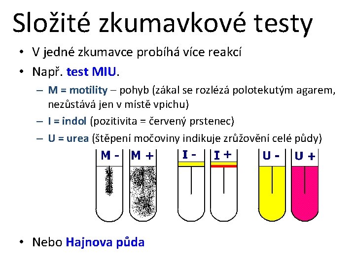 Složité zkumavkové testy • V jedné zkumavce probíhá více reakcí • Např. test MIU.