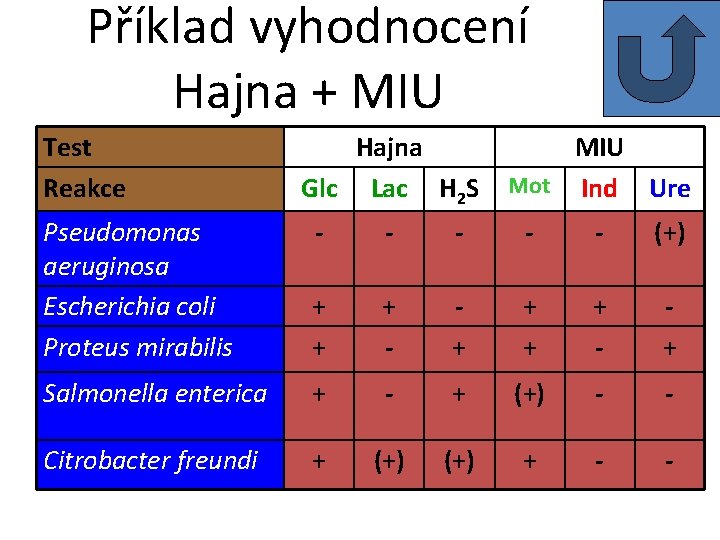 Příklad vyhodnocení Hajna + MIU Test Reakce Hajna Glc Lac H 2 S MIU