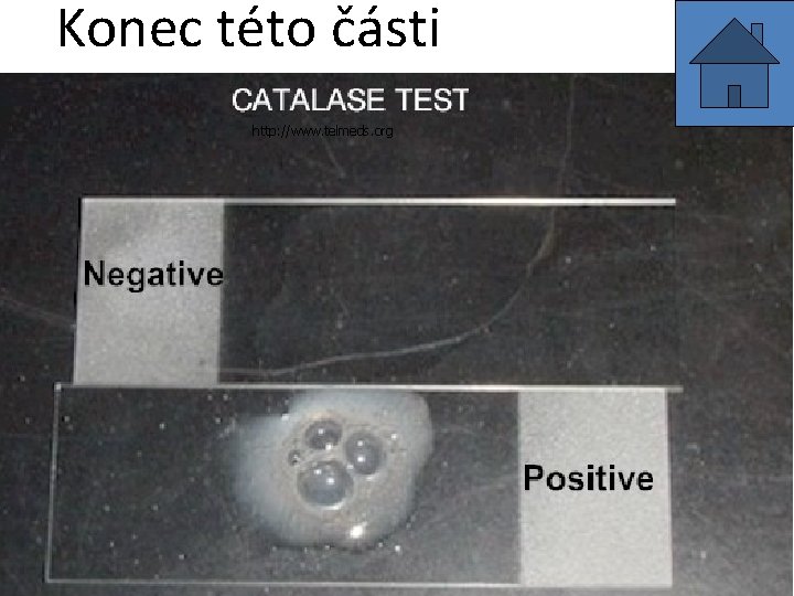 Konec této části http: //www. telmeds. org 