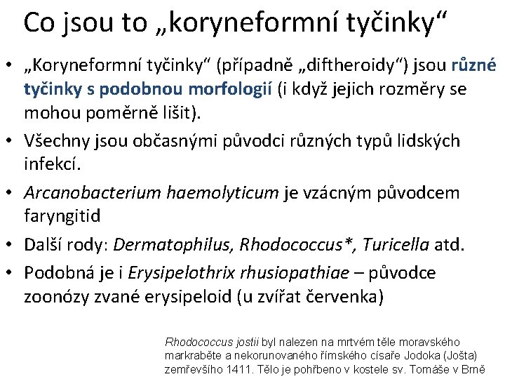 Co jsou to „koryneformní tyčinky“ • „Koryneformní tyčinky“ (případně „diftheroidy“) jsou různé tyčinky s