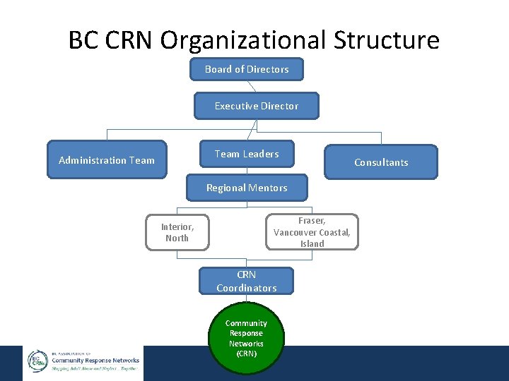 BC CRN Organizational Structure Board of Directors Executive Director Team Leaders Administration Team Regional