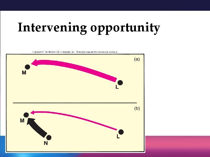 Intervening opportunity Intervening opportunity