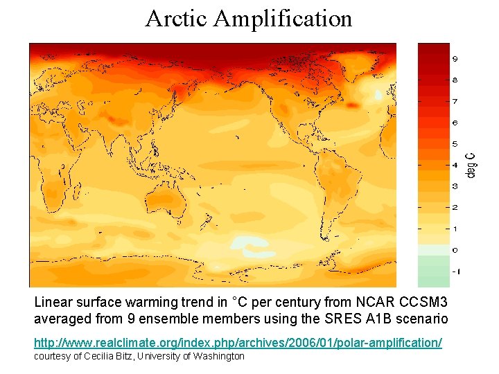 Arctic Amplification Linear surface warming trend in °C per century from NCAR CCSM 3