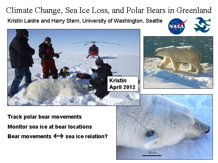 Climate Change, Sea Ice Loss, and Polar Bears in Greenland Kristin Laidre and Harry