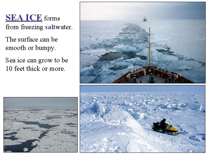 SEA ICE forms from freezing saltwater. The surface can be smooth or bumpy. Sea