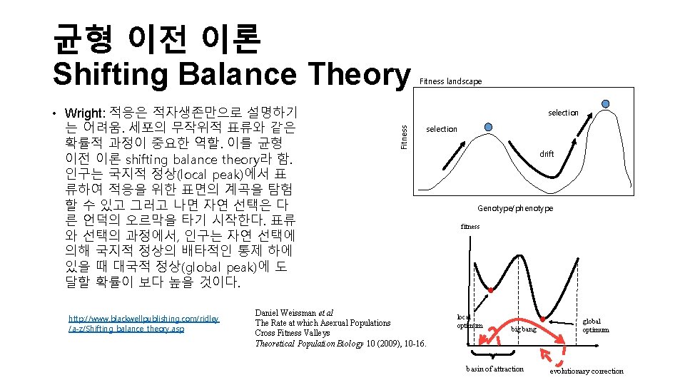 균형 이전 이론 Shifting Balance Theory http: //www. blackwellpublishing. com/ridley /a-z/Shifting_balance_theory. asp selection Fitness