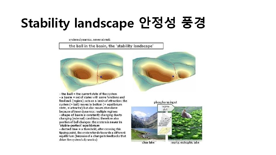 Stability landscape 안정성 풍경 