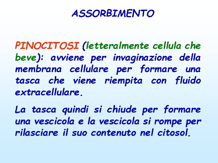 ASSORBIMENTO PINOCITOSI (letteralmente cellula che beve): avviene per invaginazione della membrana cellulare per formare