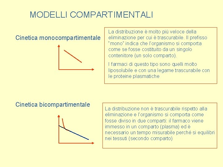 MODELLI COMPARTIMENTALI Cinetica monocompartimentale La distribuzione è molto più veloce della eliminazione per cui