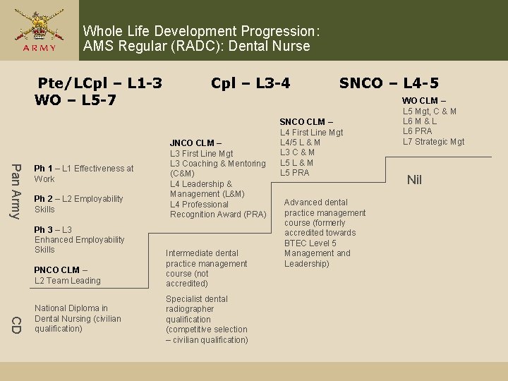 Whole Life Development Progression: AMS Regular (RADC): Dental Nurse Pte/LCpl – L 1 -3