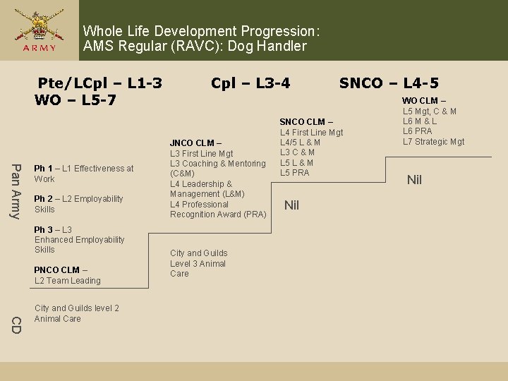 Whole Life Development Progression: AMS Regular (RAVC): Dog Handler Pte/LCpl – L 1 -3