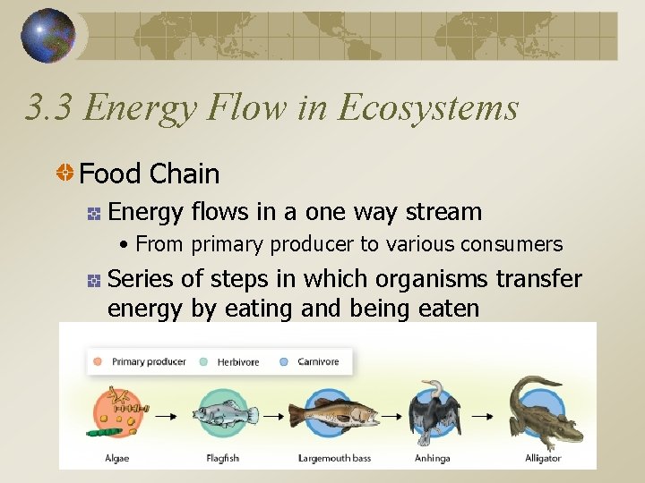 3. 3 Energy Flow in Ecosystems Food Chain Energy flows in a one way