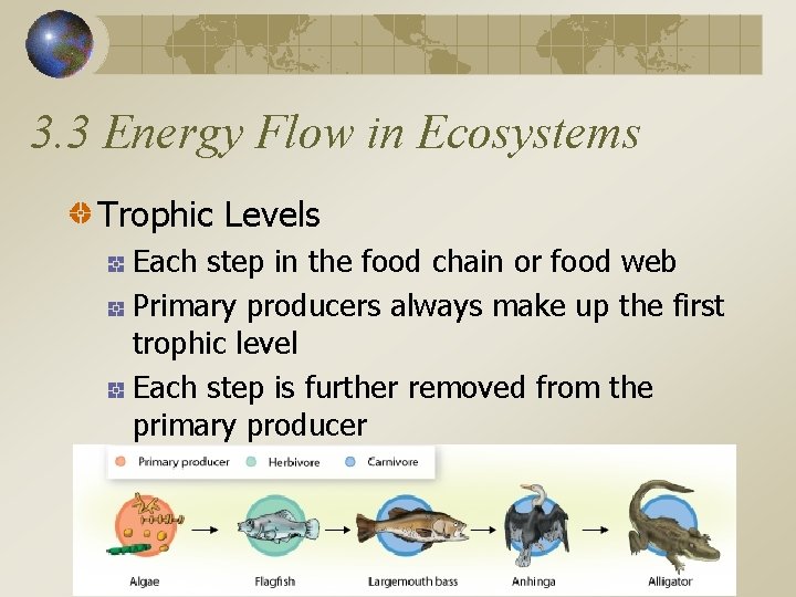 3. 3 Energy Flow in Ecosystems Trophic Levels Each step in the food chain
