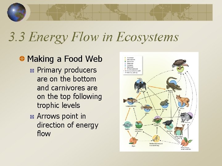 3. 3 Energy Flow in Ecosystems Making a Food Web Primary producers are on