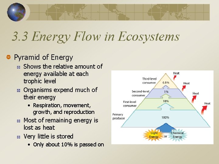 3. 3 Energy Flow in Ecosystems Pyramid of Energy Shows the relative amount of