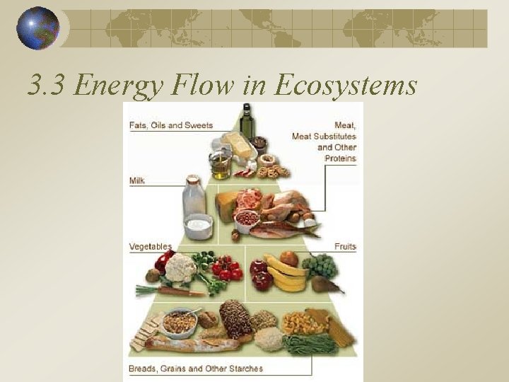 3. 3 Energy Flow in Ecosystems 