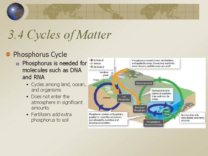 3. 4 Cycles of Matter Phosphorus Cycle Phosphorus is needed for molecules such as