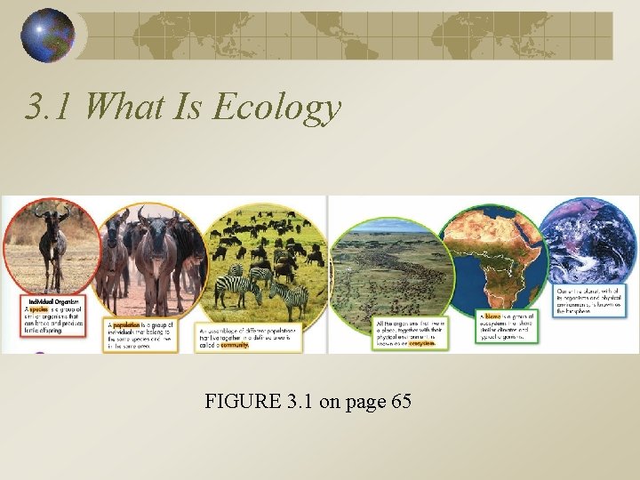 3. 1 What Is Ecology FIGURE 3. 1 on page 65 
