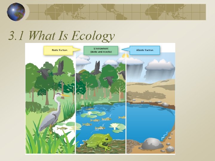 3. 1 What Is Ecology 