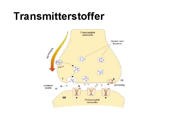  Transmitterstoffer 