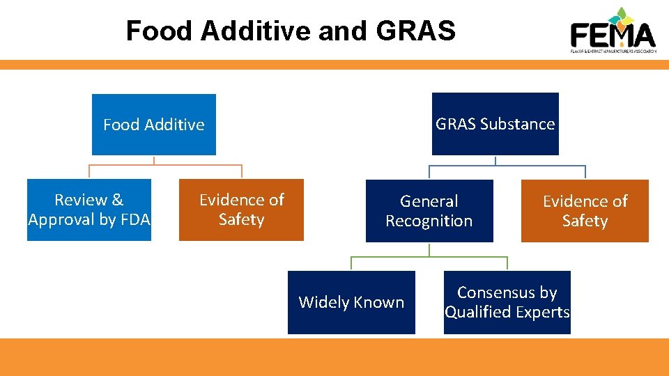 Food Additive and GRAS Substance Food Additive Review & Approval by FDA Evidence of