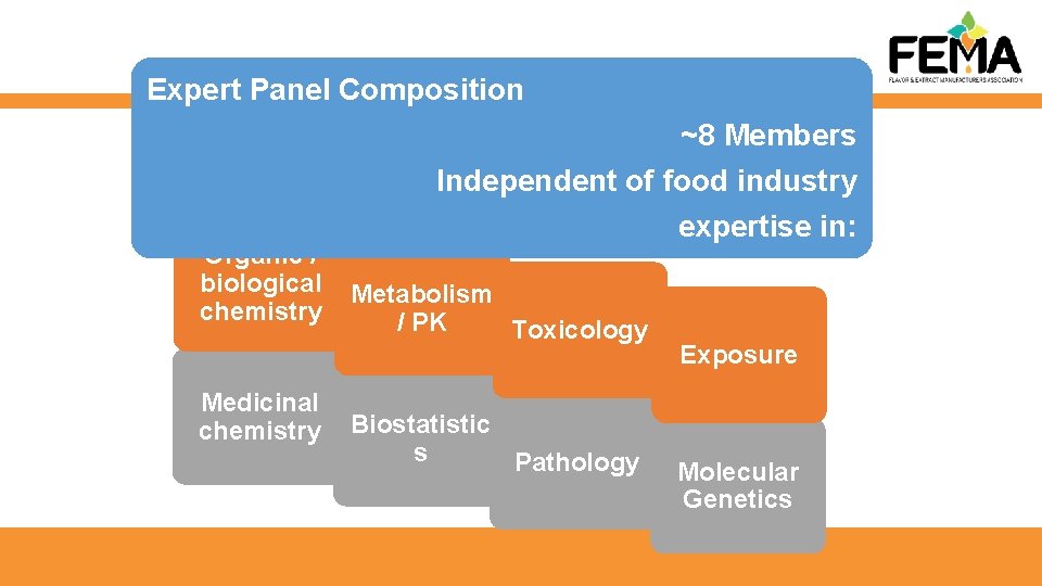 Expert Panel Composition ~8 Members Organic / biological chemistry Medicinal chemistry Independent of food