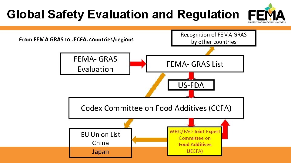 Global Safety Evaluation and Regulation From FEMA GRAS to JECFA, countries/regions FEMA- GRAS Evaluation