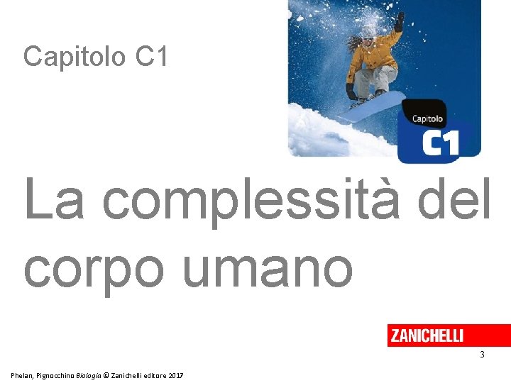 Capitolo C 1 La complessità del corpo umano 3 Phelan, Pignocchino Biologia © Zanichelli