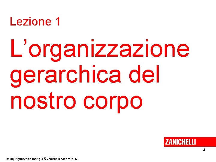 Lezione 1 L’organizzazione gerarchica del nostro corpo 4 Phelan, Pignocchino Biologia © Zanichelli editore