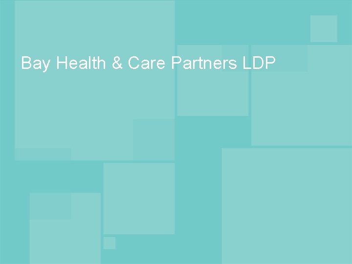 Bay Health & Care Partners LDP 