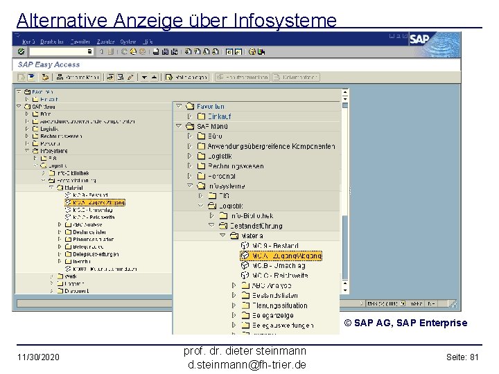 Alternative Anzeige über Infosysteme © SAP AG, SAP Enterprise 11/30/2020 prof. dr. dieter steinmann