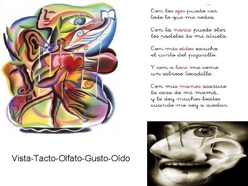 Vista-Tacto-Olfato-Gusto-Oído 