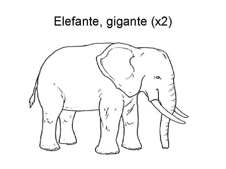 Elefante, gigante (x 2) 