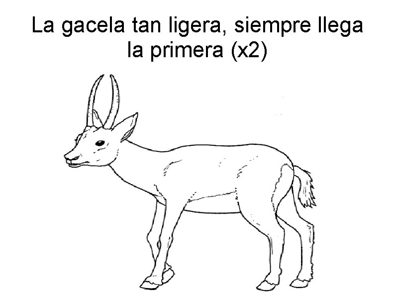 La gacela tan ligera, siempre llega la primera (x 2) 