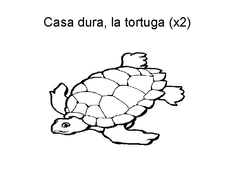 Casa dura, la tortuga (x 2) 