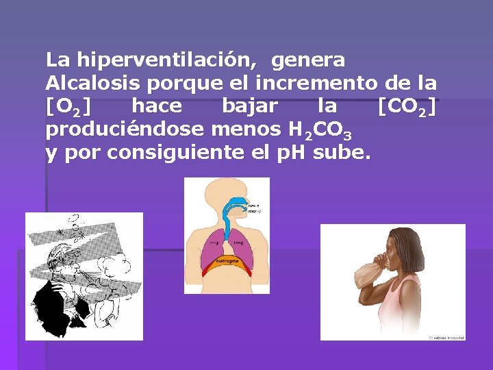 La hiperventilación, genera Alcalosis porque el incremento de la [O 2] hace bajar la