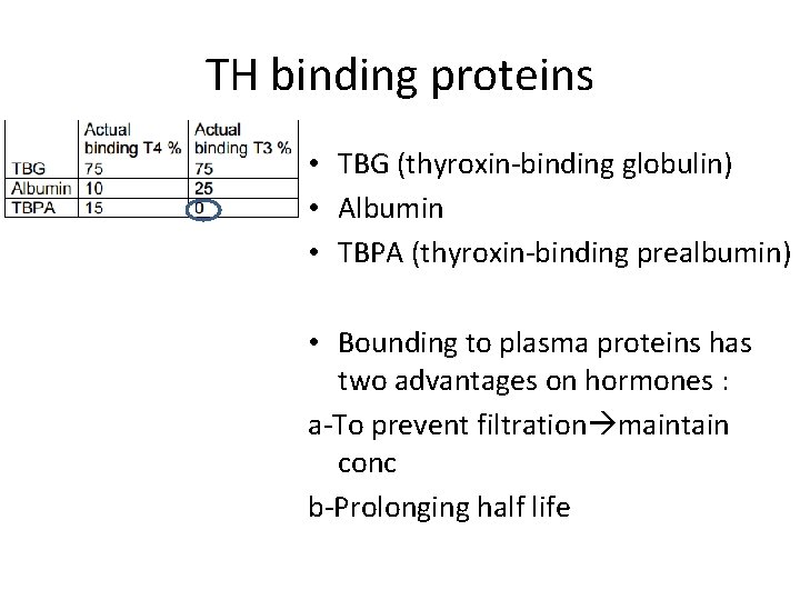 TH binding proteins • TBG (thyroxin-binding globulin) • Albumin • TBPA (thyroxin-binding prealbumin) •