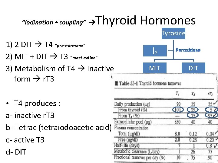 “iodination + coupling” Thyroid Hormones Tyrosine 1) 2 DIT T 4 “pro-hormone” 2) MIT