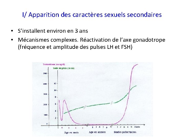 I/ Apparition des caractères sexuels secondaires • S’installent environ en 3 ans • Mécanismes