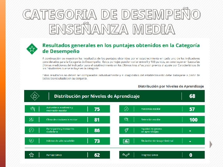 CATEGORIA DE DESEMPEÑO ENSEÑANZA MEDIA 