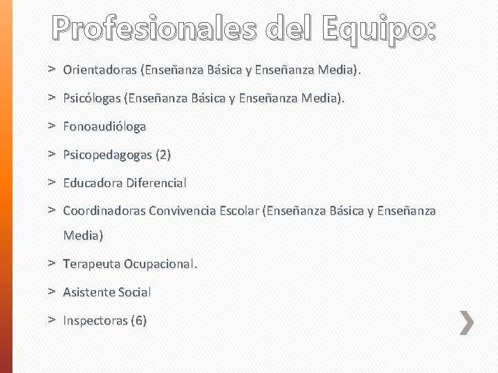 Profesionales del Equipo: ˃ Orientadoras (Enseñanza Básica y Enseñanza Media). ˃ Psicólogas (Enseñanza Básica