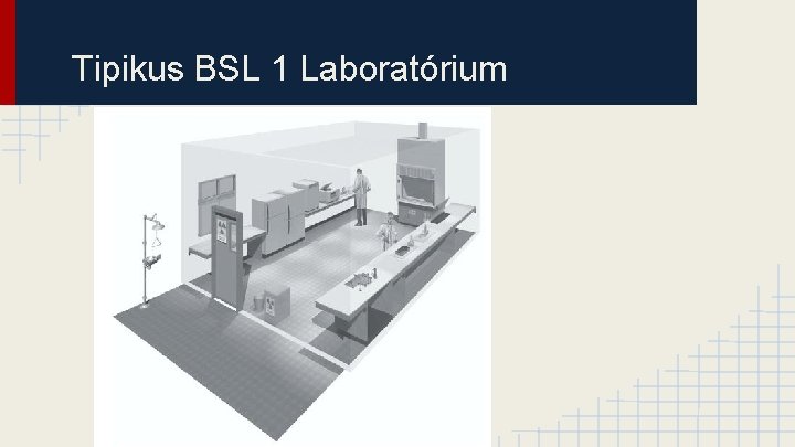 Tipikus BSL 1 Laboratórium 