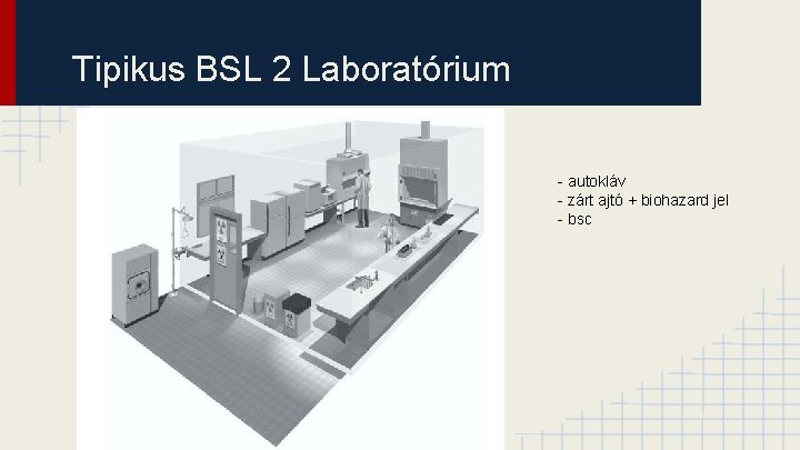 Tipikus BSL 2 Laboratórium - autokláv - zárt ajtó + biohazard jel - bsc